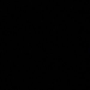 Meet your Posher, Alejandro